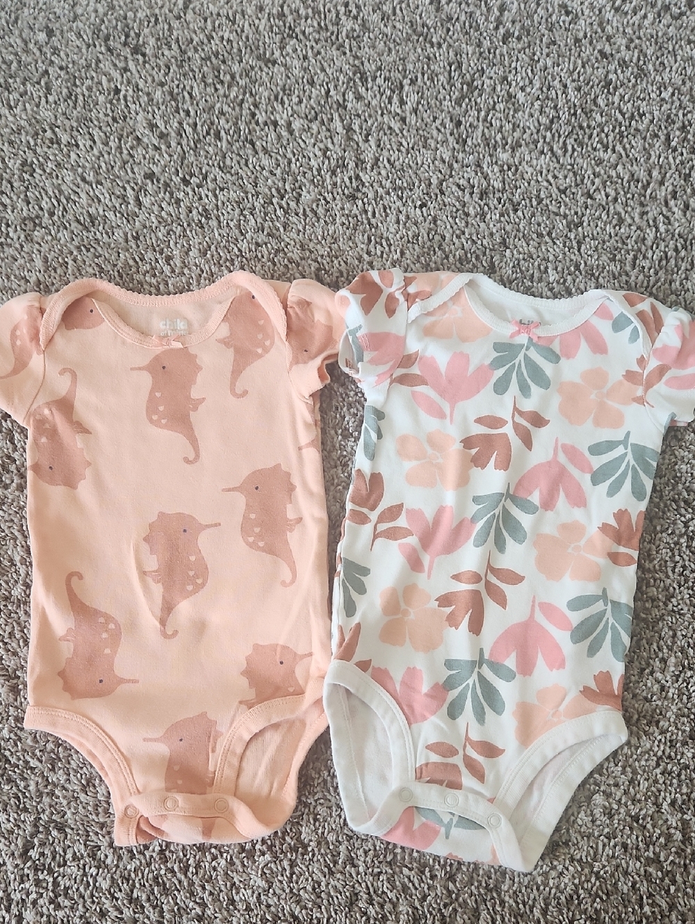 Carter's Peach Seahorse & Floral One-Piece Bodysuit Set